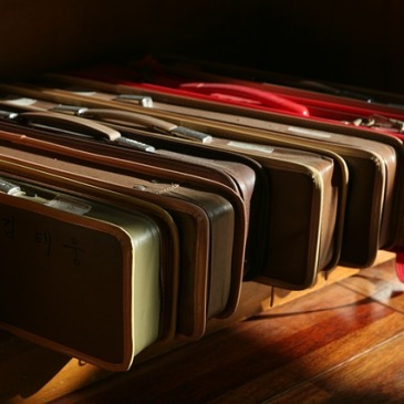 fiddle cases